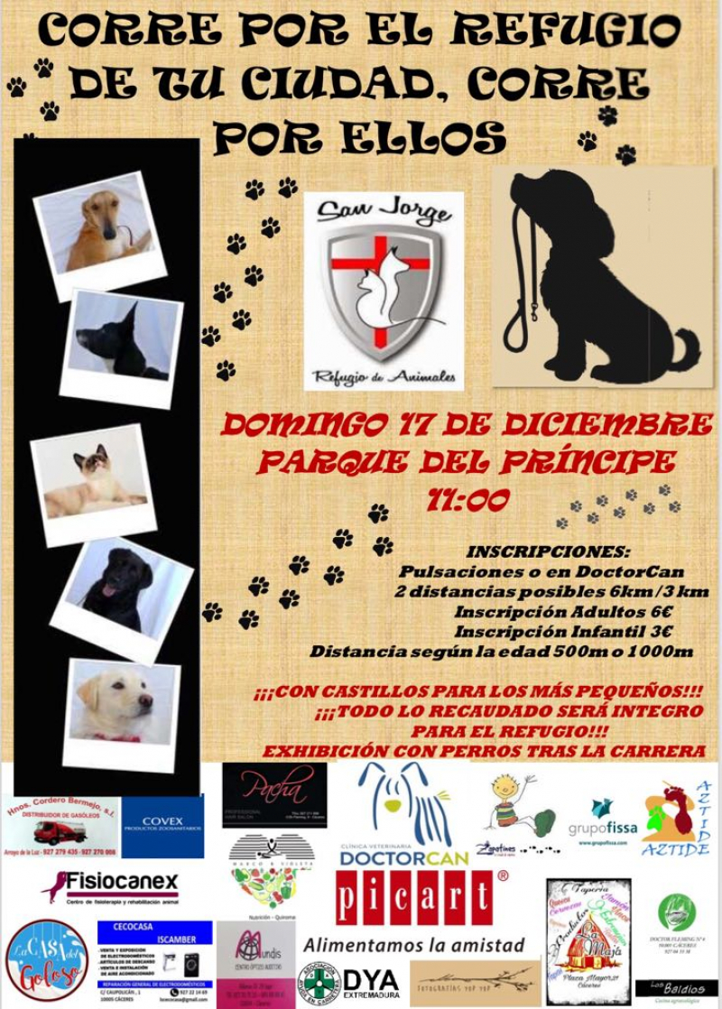 I CARRERA 
